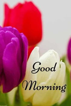 good morning images hd