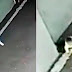 Ce que cette mère fait à son enfant dans une ruelle est terrible, mais une caméra a tout filmé!
