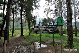 bumi perkemahan ranca upas ciwidey