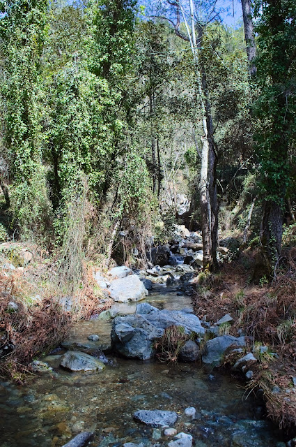 Part of the trail in Caledonian waterfalls at Mount Troodos, Cyprus. The trail is along the small river. Part of the trail in Caledonian waterfalls at Mount Troodos, Cyprus. The trail is along the small river.
