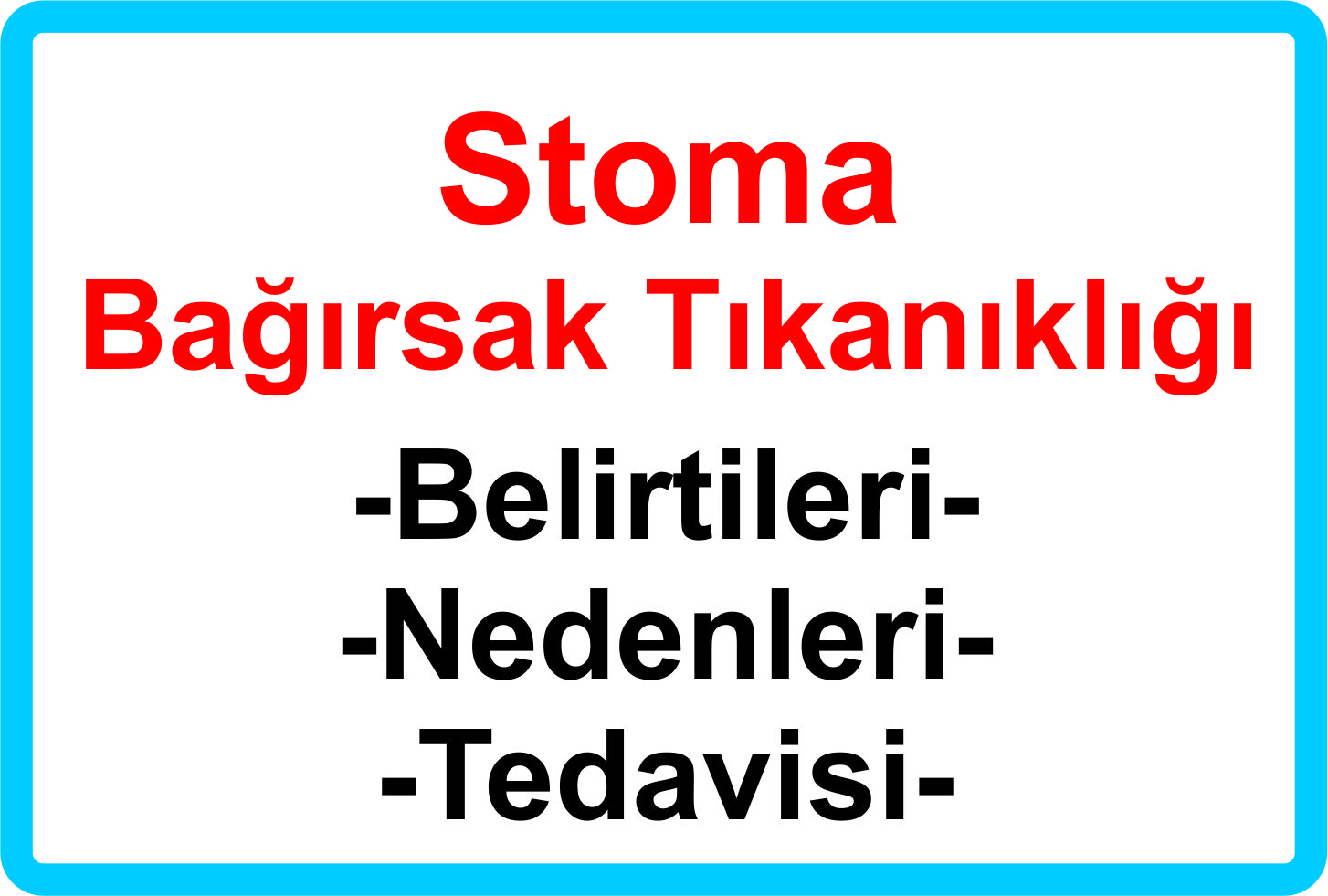 Bağırsak Nasıl İyi Çalışır Bağırsak Nasıl İyi Çalışır