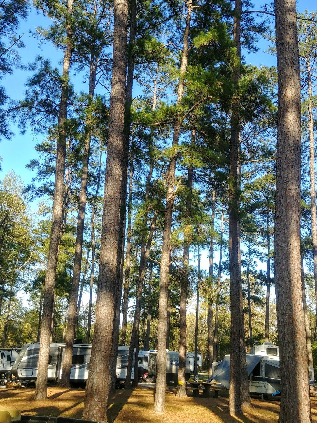 Another Mile Another Destination Blog Robins Air Force Base Famcamp