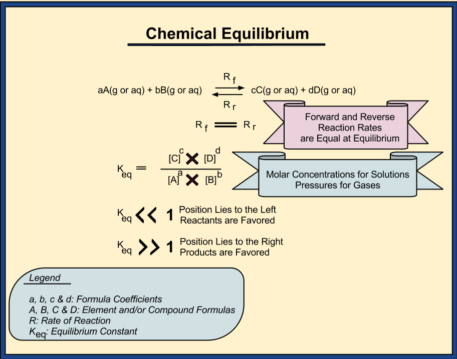 What Is A Reaction At Equilibrium At Ashley Pines Blog What Is A Reaction At Equilibrium At Ashley Pines Blog
