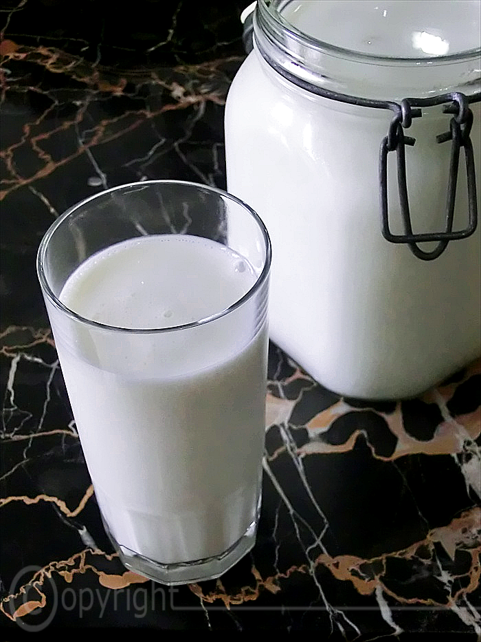 come si può preparare il kefir in casa