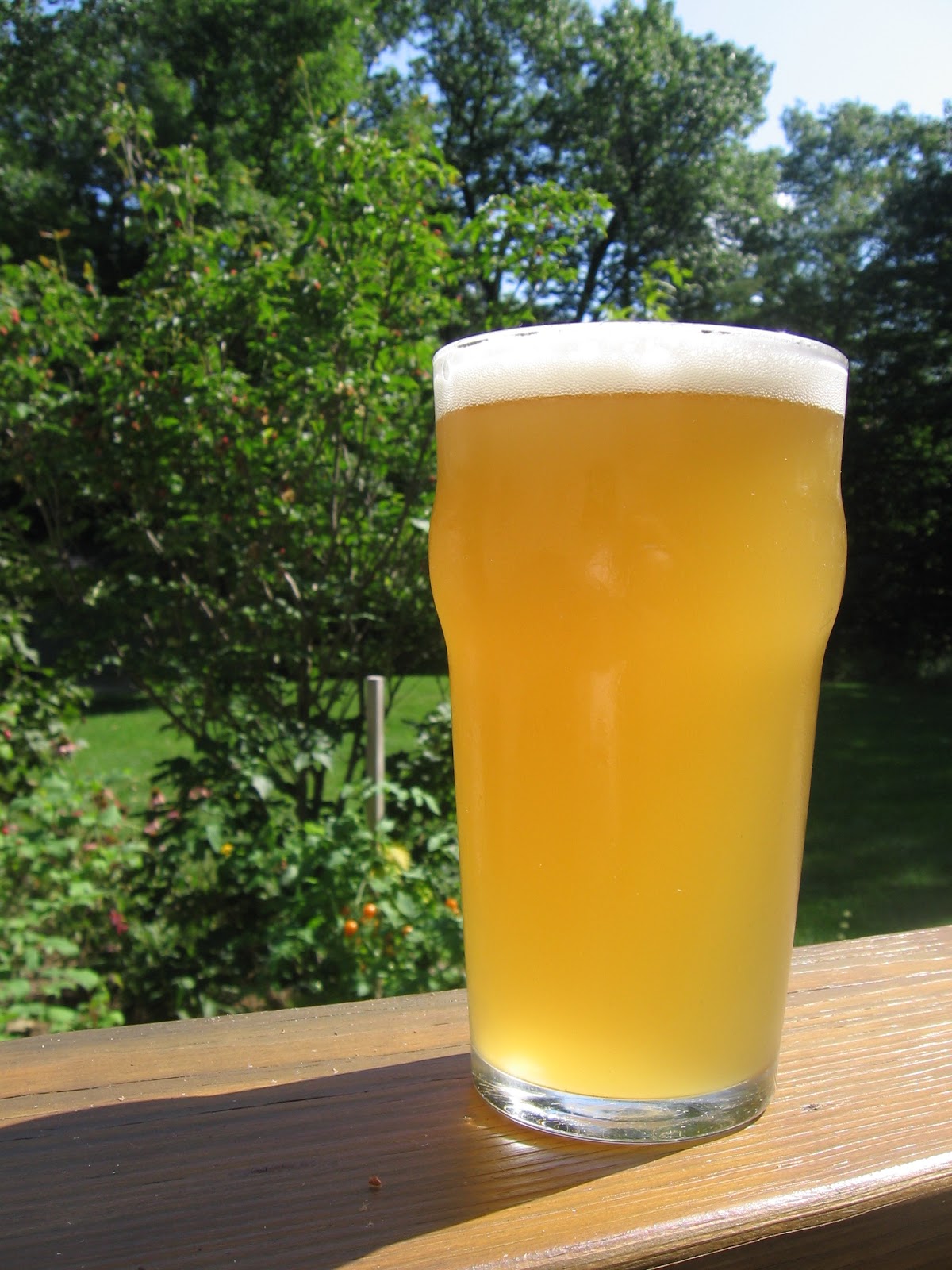 A Year of Brewing Beer 20 Cascade Wet Hop Harvest Ale