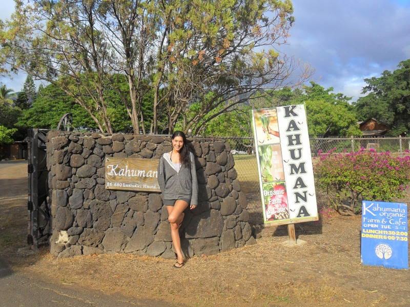 Hawaii Hostel