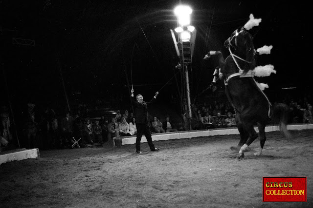 Deux chevaux noir cambre en sortant de la piste du cirque national Suisse 