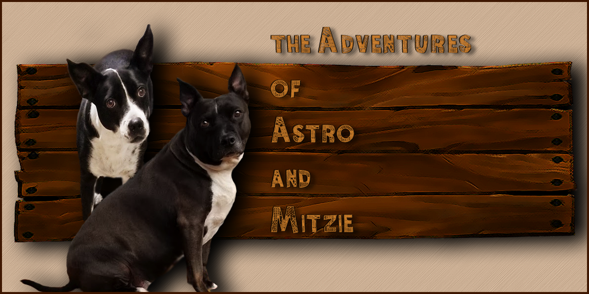 The Adventures Of Astro and Mitzie