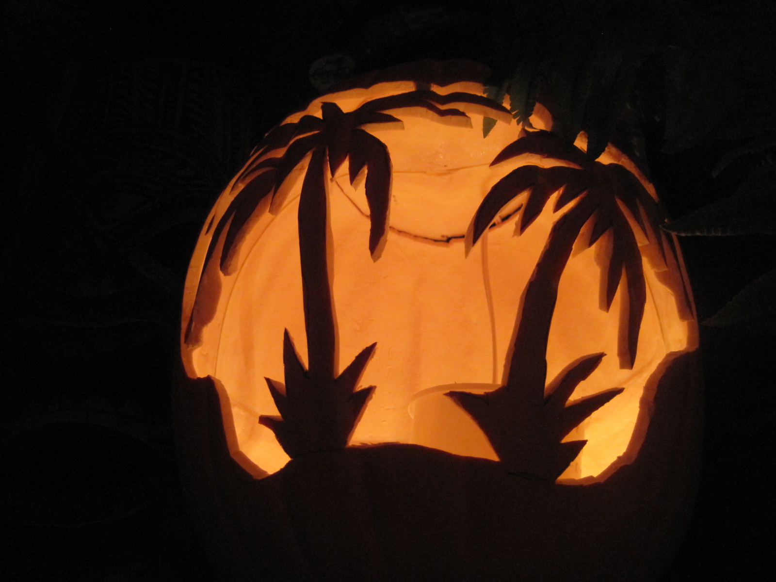 Palm Trees Of Iowa October 2011