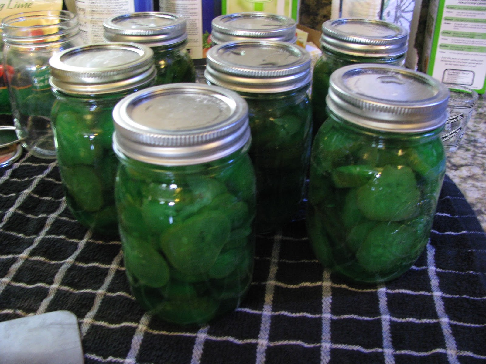 Stephanies Stuff Lime Pickles/Tasty Thursday