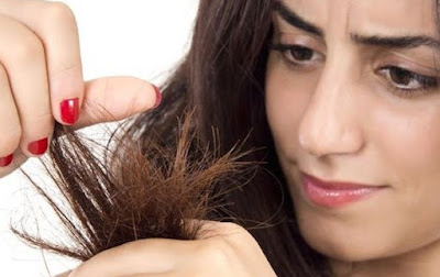  Masalah yang sering terjadi pada kesehatan rambut yaitu rambut bercabang 9 Tips Alami Mengatasi Masalah Rambut Bercabang
