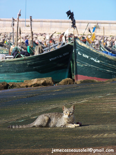 Port de pêche de Sidi Ifni Port de pêche de Sidi Ifni