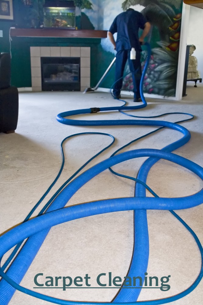 Niecy Nash Reno House Cleaning House and Home