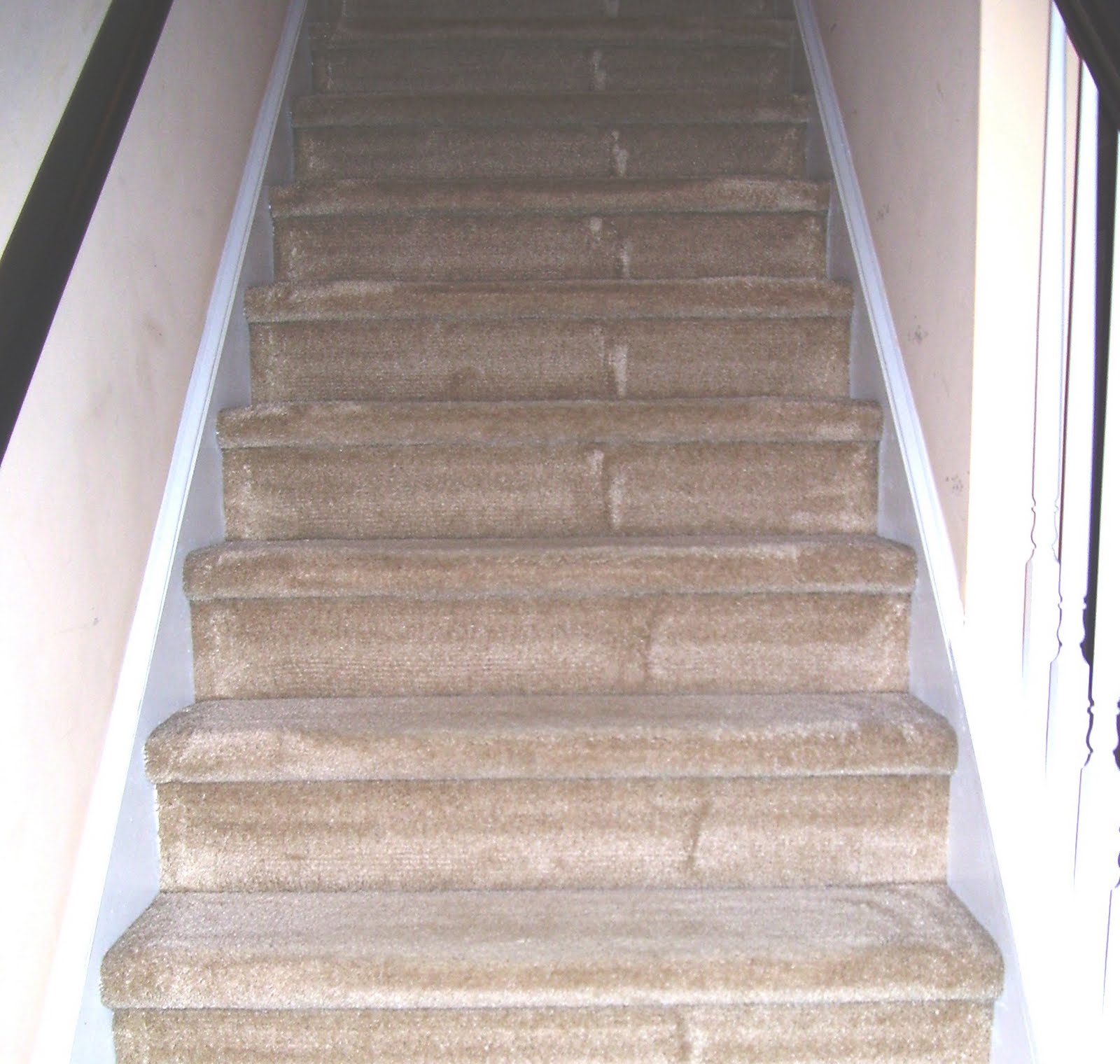 The Everyday Organic Does ZEROREZ® Work?