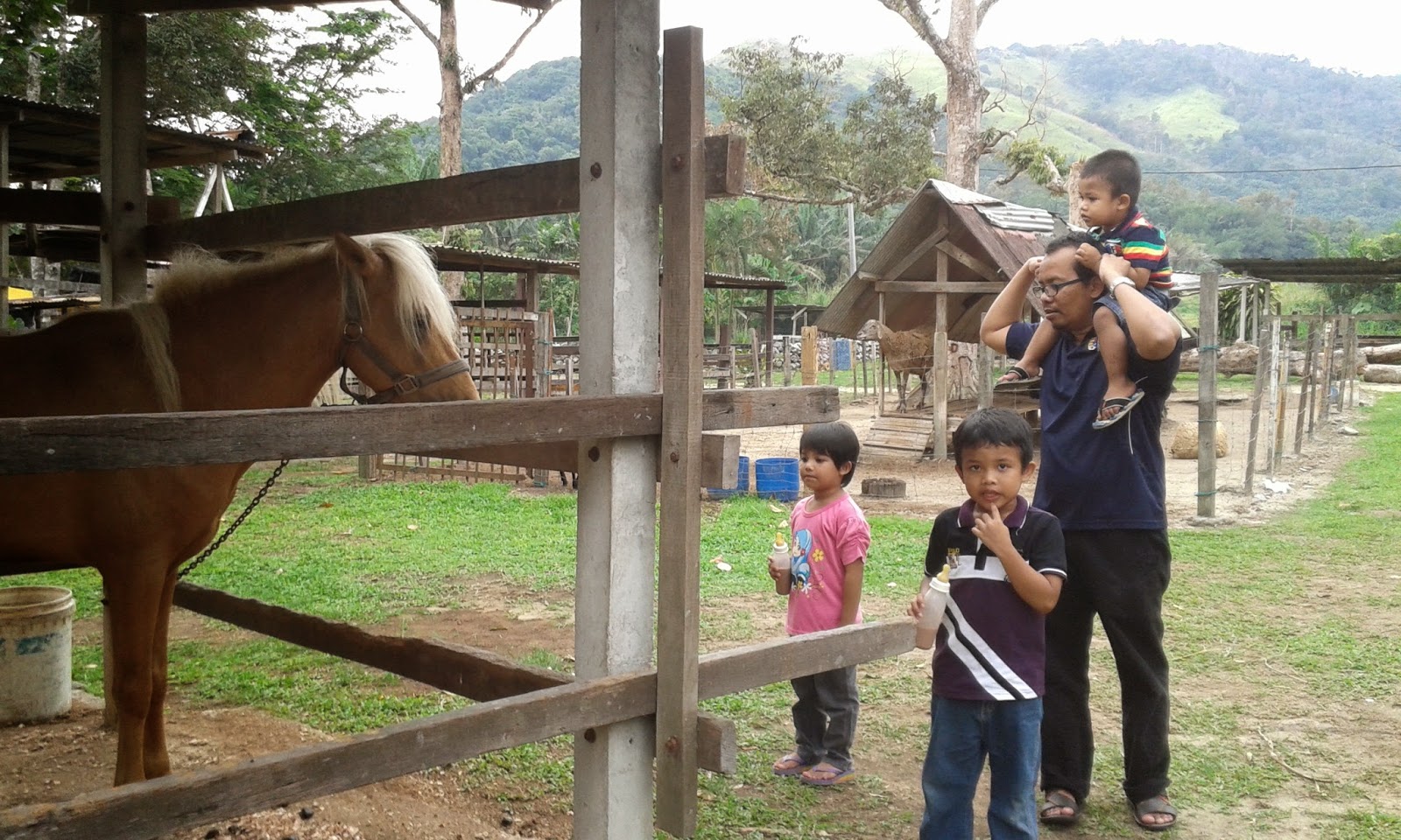 Bungabunga Kehidupan Rabbit Farm Broga