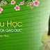 CHIA SẺ GIÚP BẠN CÁCH TÌM GIA SƯ TIẾNG ANH CHO NGƯỜI ĐI LÀM