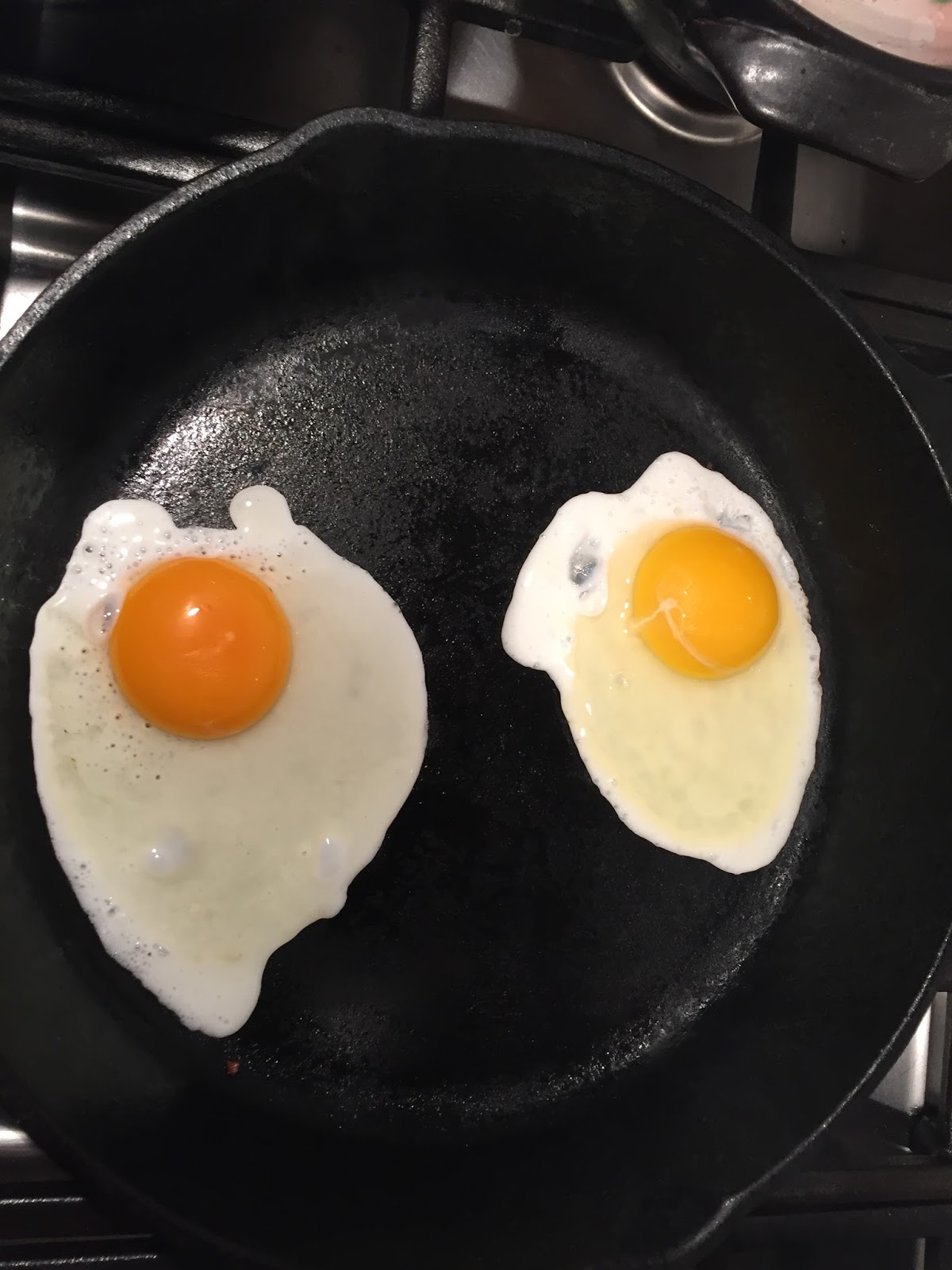 Adventures of A Foodie Wannabe Conestoga Farms Omega 3 Free Range Eggs