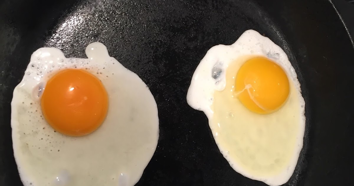 Adventures of A Foodie Wannabe Conestoga Farms Omega 3 Free Range Eggs