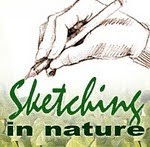 Please visit our Sketching in Nature blog!