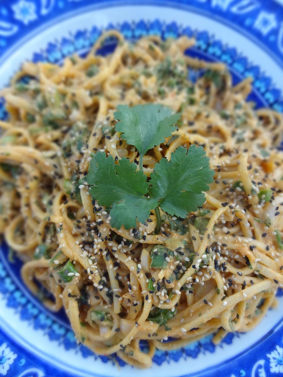 Scrumpdillyicious Cold Noodles with Spicy Red Curry & Peanut Sauce