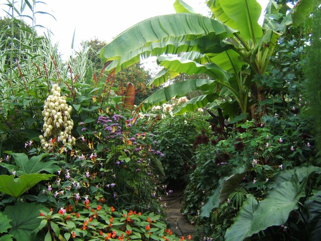 tropical%2Bgarden.jpg