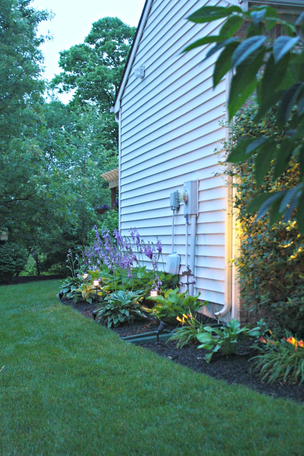 My Free Hosta Garden (and How to Get One!) from Thrifty Decor Chick