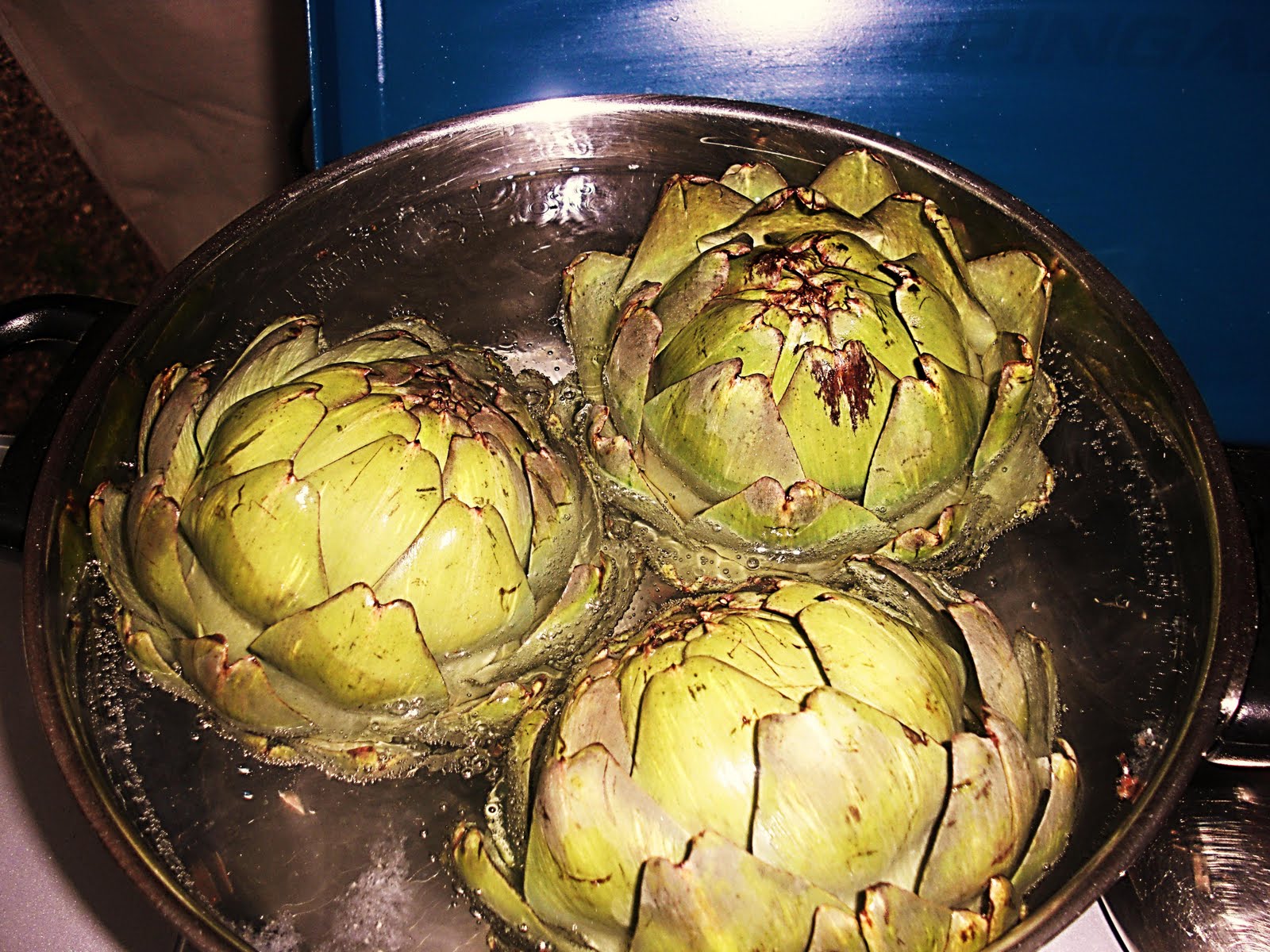 Koken op de camping in Frankrijk artisjokken