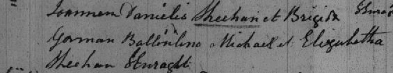 John Sheehan Baptism record 1863 https://jollettetc.blogspot.com