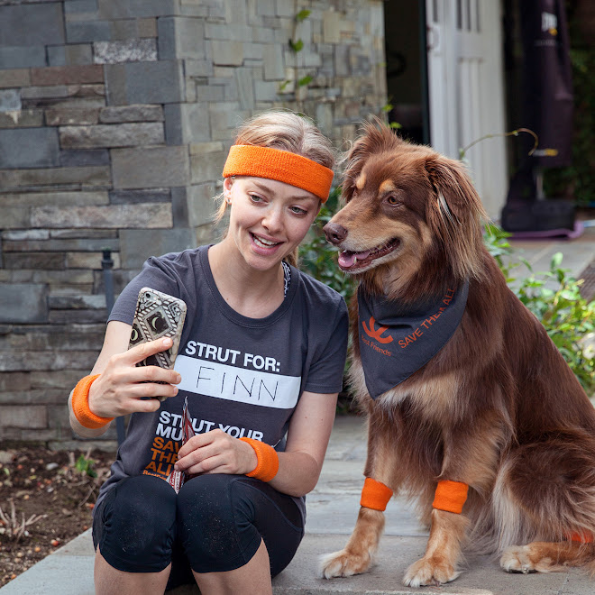 Photo : アメリカでは毎日、9,000匹以上もの犬や猫たちの命が、飼い主にめぐり会えないがため、シェルターで処分されています…という現実を伝えて、動物の安楽死ゼロを目指すキャンペーンの顔に就任した犬女優アマンダ・セーフリードと相棒のフィン ! !