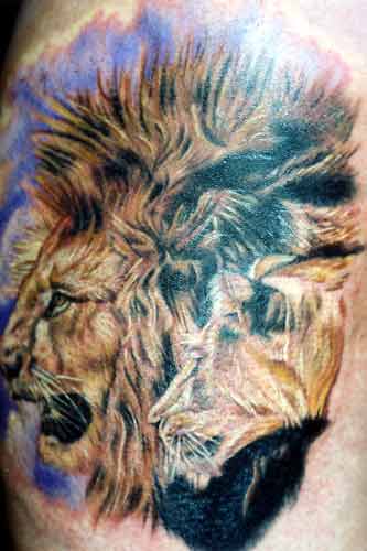 lion head tattoos. In the animal kingdom lions