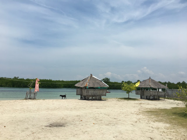 Shalala Beach Resort - Suba, Sabang, Olango Island, Lapu-Lapu City, Cebu
