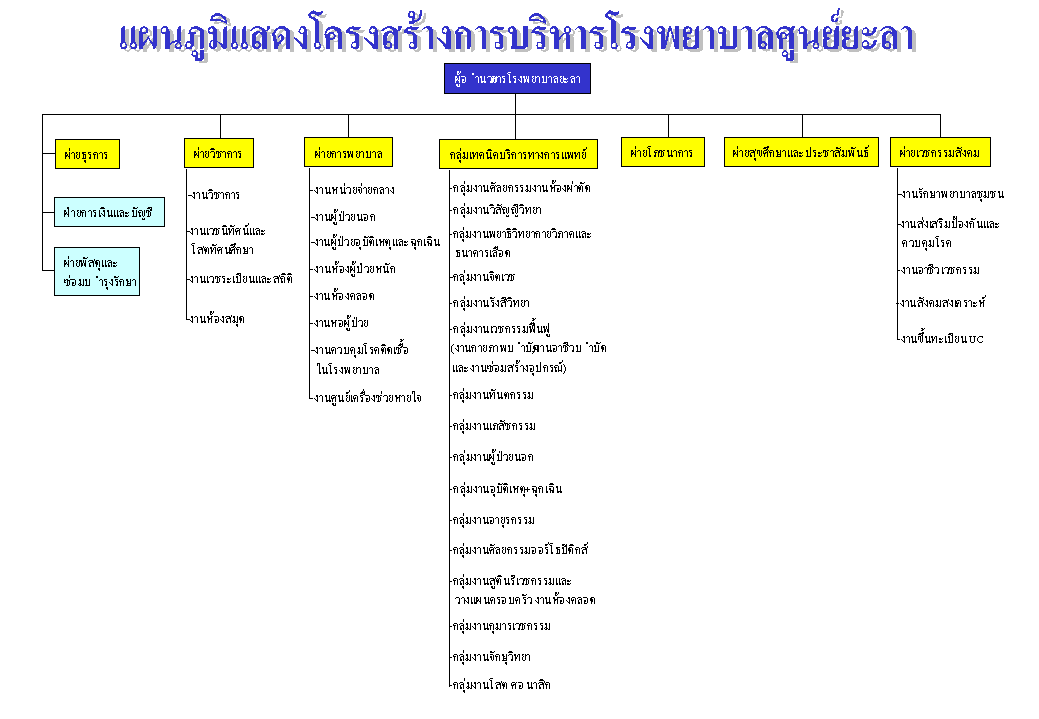 งานโรงพยาบาล