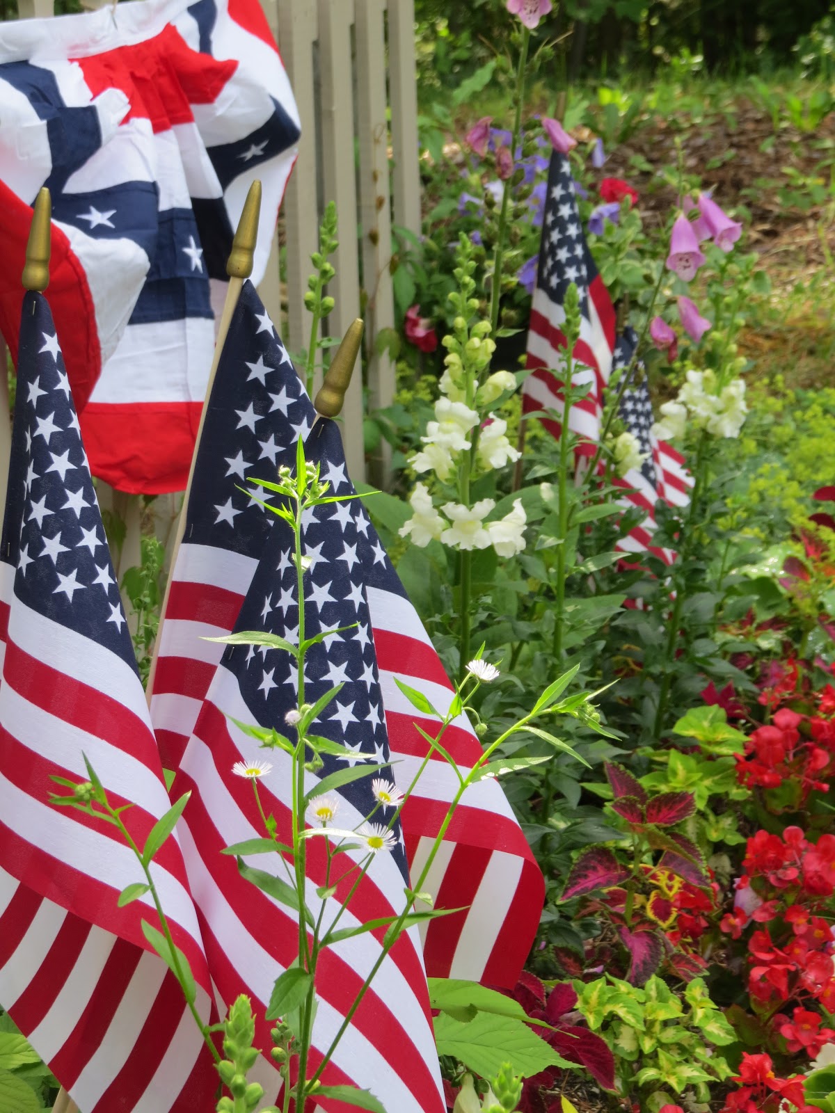 DesignsandEvents My Red, White and Blue Garden