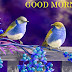 Good Morning Wishes Messages For Sister With Pictures
