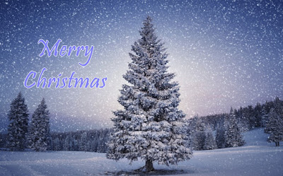 Merry Christmas tree images Merry Christmas tree images