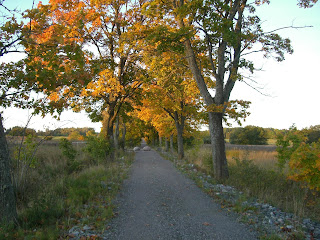 CIMG2563 - Födelsedagspromenad