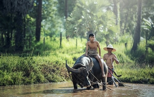 Tiga Unsur Utama Desa Tiga Unsur Utama Desa menurut R. Bintarto