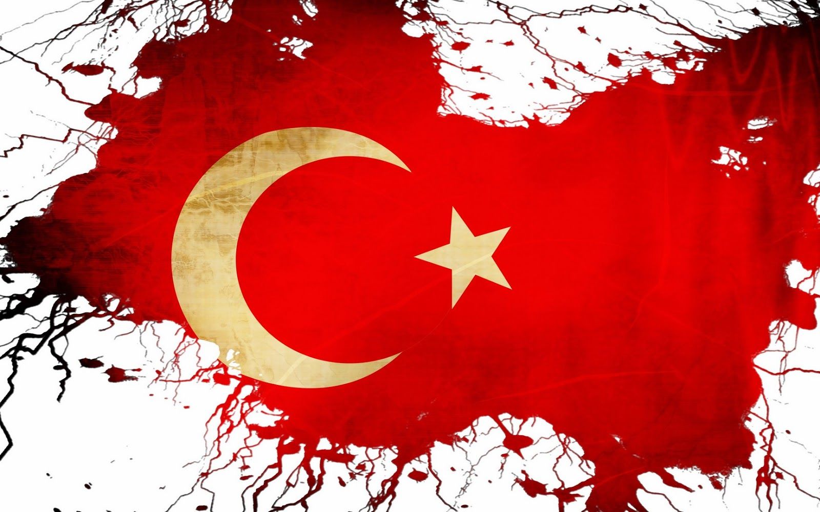 Beyaz turk bayragi resimleri 9