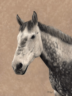 Grey Percheron Portrait Painting in Pastel by Colette Theriault