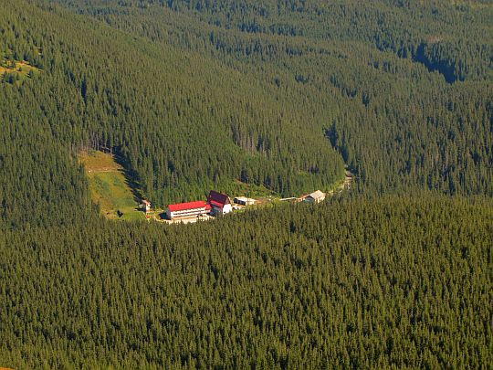 Zaroślak. Zaroślak.