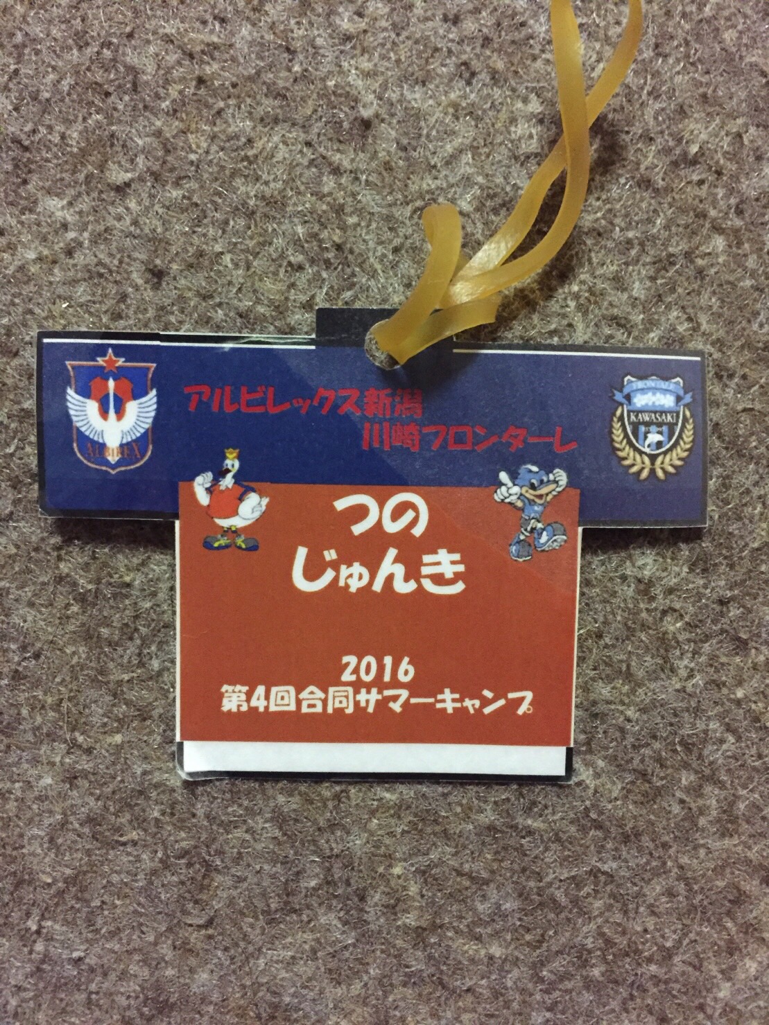 Albirex Niigata Soccer School 高学年キャンプ アルビレックス新潟 川崎フロンターレ合同サマーキャンプ16 1日目