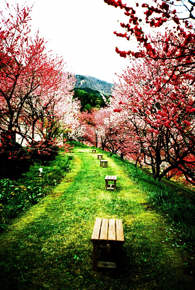 Güzel Renkler Yakalayabileceğiniz ve Farklı Fotoğraflar Çekebileceğiniz ...