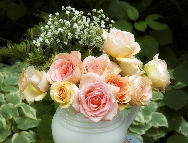 Wallpaper de Flores ~ Links da WEB
