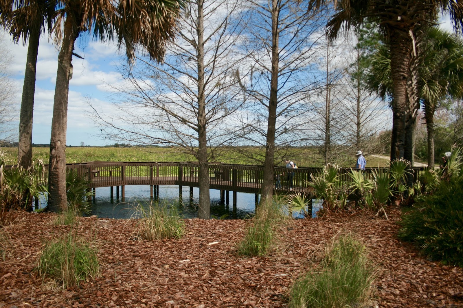 Amy's Creative Pursuits The Orlando Wetlands Festival