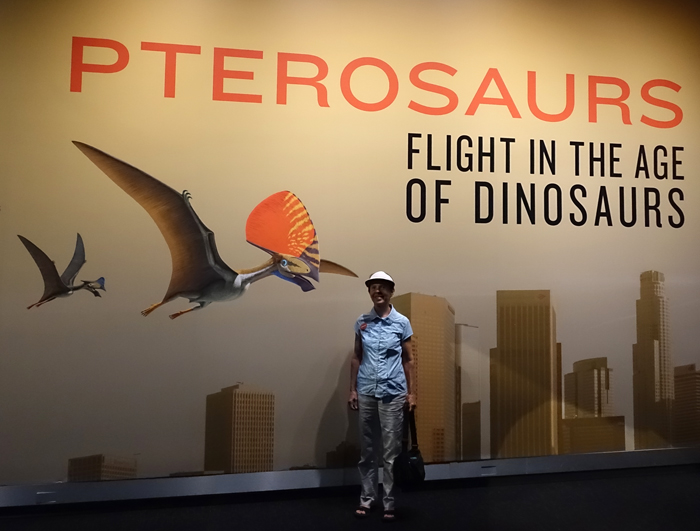 Pterosaurs Flight In The Age of Dinosaurs Exhibit Catalogue