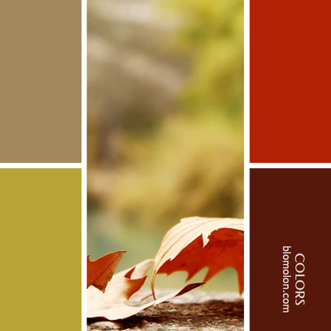 variedad en color combinacion 36 variedad_en_color_combinacion_36