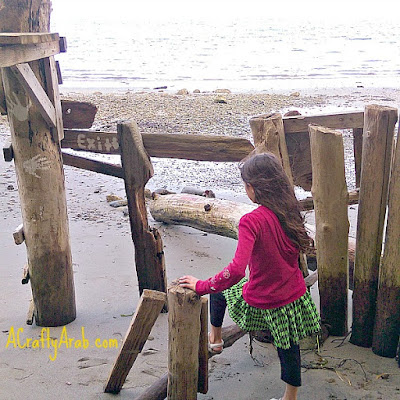 Spring Break 2016 - Whidby Island by A Crafty Arab