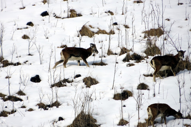 serrai di sottoguda in inverno