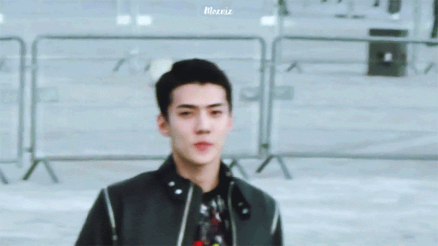 6.gif
