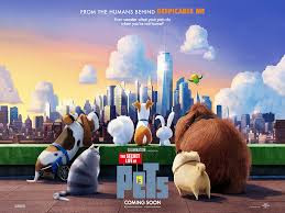 Xem Phim Đẳng Cấp Thú Cưng Xem Phim Đẳng Cấp Thú Cưng - The Secret Life of Pets (2016)